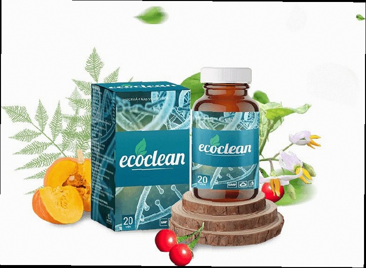 Ecoclean - co to jest
