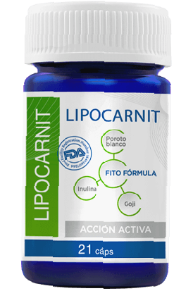 Lipocarnit - what is it
